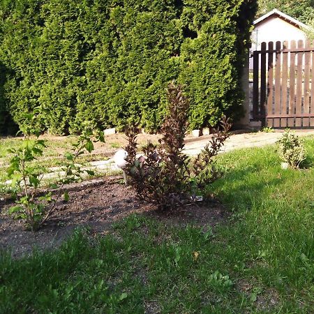 Apartment U Šárky Loket Esterno foto
