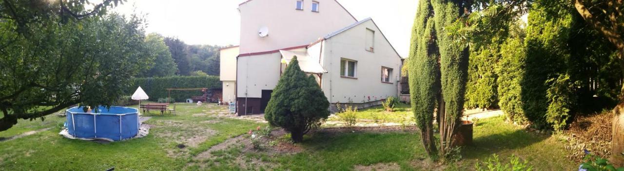 Apartment U Šárky Loket Esterno foto